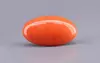 Japanese Red Coral - 10.36 Carat Rare Quality CC-5882