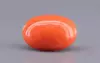 Japanese Red Coral - 6.66 Carat Rare Quality CC-5884