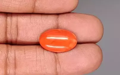 Japanese Red Coral - 8.22 Carat Rare Quality CC-5886