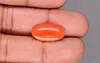 Japanese Red Coral - 5.59 Carat Rare Quality CC-5887