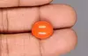 Japanese Red Coral - 6.69 Carat Rare Quality CC-5889