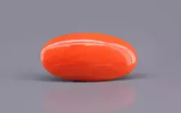 Japanese Red Coral - 4.89 Carat Rare Quality CC-5893