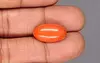 Japanese Red Coral - 8.14 Carat Rare Quality CC-5895