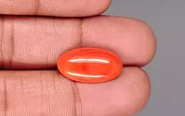 Japanese Red Coral - 6.55 Carat Rare Quality CC-5896