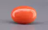 Japanese Red Coral - 5.11 Carat Rare Quality CC-5897