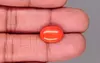 Japanese Red Coral - 5.11 Carat Rare Quality CC-5897