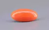 Japanese Red Coral - 9.97 Carat Rare Quality CC-5898