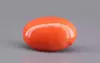 Japanese Red Coral - 13.22 Carat Rare Quality CC-5899