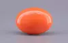 Japanese Red Coral - 10.35 Carat Rare Quality CC-5900