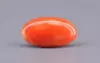 Japanese Red Coral - 8.24 Carat Rare Quality CC-5902