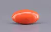 Japanese Red Coral - 10.90 Carat Rare Quality CC-5903