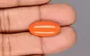 Japanese Red Coral - 6.94 Carat Rare Quality CC-5905