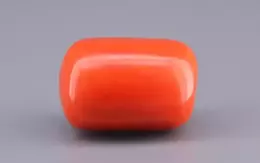 Italian Red Coral - 22.59 Carat Limited Quality CC-5906