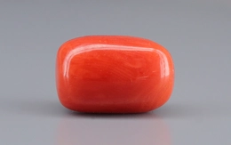Italian Red Coral - 15.21 Carat Limited Quality CC-5908
