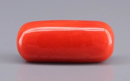 Italian Red Coral - 11.37 Carat Limited Quality CC-5914