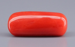 Italian Red Coral - 7.38 Carat Prime Quality CC-5920