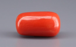 Italian Red Coral - 15.87 Carat Limited Quality CC-5924