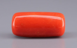 Italian Red Coral - 16.58 Carat Limited Quality CC-5930