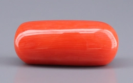 Italian Red Coral - 13.34 Carat Limited Quality CC-5934