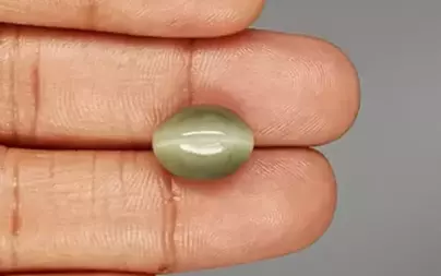 Cat's Eye - 8.14 Carat Prime Quality CE-10661