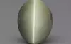 Cat's Eye - 8.14 Carat Prime Quality CE-10661