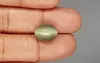 Cat's Eye - 8.14 Carat Prime Quality CE-10661