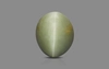 Cat's Eye - 6.11 Carat Prime Quality CE-10727