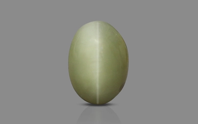 Cat's Eye - 2.96 Carat Prime Quality CE-10730