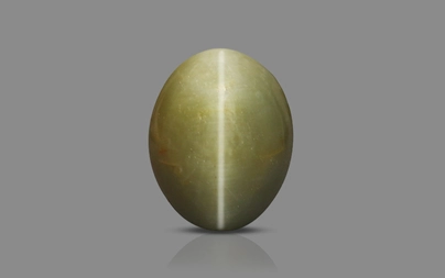 Cat's Eye - 4.7 Carat Prime Quality CE-10741