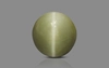 Cat's Eye - 5.81 Carat Prime Quality CE-10749