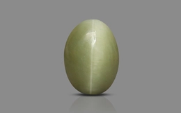 Cat's Eye - 3.3 Carat Prime Quality CE-10751