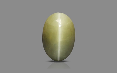 Cat's Eye - 2.94 Carat Prime Quality CE-10761