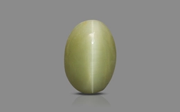 Cat's Eye - 2.76 Carat Prime Quality CE-10763