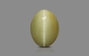 Cat's Eye - 3.65 Carat Prime Quality CE-10776