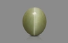 Cat's Eye - 4.44 Carat Prime Quality CE-10778