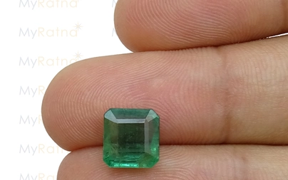 Emerald - EMD 9136 (Origin - Zambia) Prime - Quality