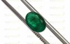Emerald - EMD 9175 (Origin - Zambia) Fine - Quality