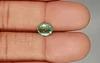 Colombian Emerald - EMD-9476  Rare-Quality 1.19 Carat