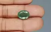 Zambian Emerald - 6.62 Carat Prime Quality  EMD-9831