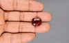 Ceylon Hessonite Garnet - 12.04 Carat Limited Quality HG-8278