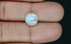 Russian Moonstone - MS 19037  Limited - Quality 3.1 Carat