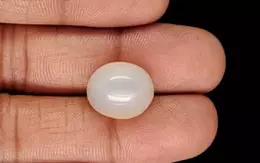 Russian Moonstone - 12.48 Carat Prime Quality MS-19090
