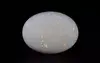 Australian Opal - 5.04 Carat Limited Quality OPL-11482