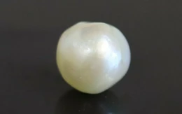 Pearl - SSP 8616 (Origin - Keshi) LImited - Quality