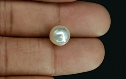 Pearl - SSP 8678 Limited - Quality 5.13 - Carat
