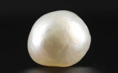 Pearl - SSP 8679 Limited - Quality 5.02 - Carat