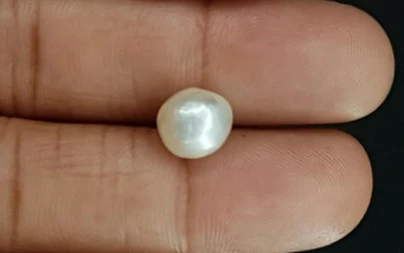 Pearl - SSP 8679 Limited - Quality 5.02 - Carat