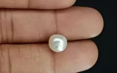 Pearl - SSP 8682 Limited - Quality 5.00 - Carat