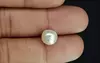 Pearl - SSP 8682 Limited - Quality 5.00 - Carat
