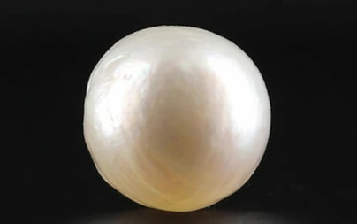 Pearl - SSP 8683 Limited - Quality 5.03 - Carat